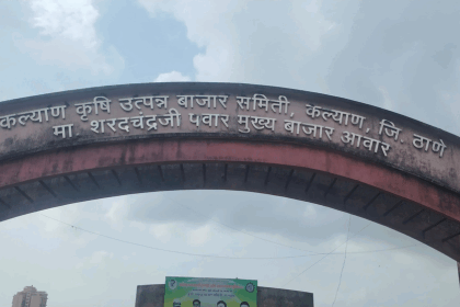 Mayy marathi article image 1
