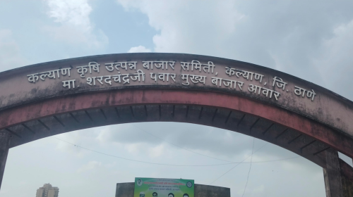 Mayy marathi article image 1