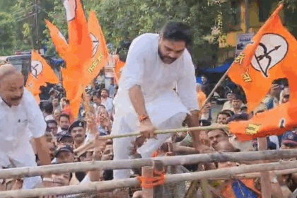 Mayy marathi article image 13