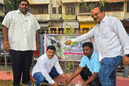 Mayy marathi article image 14