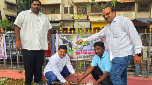 Mayy marathi article image 14
